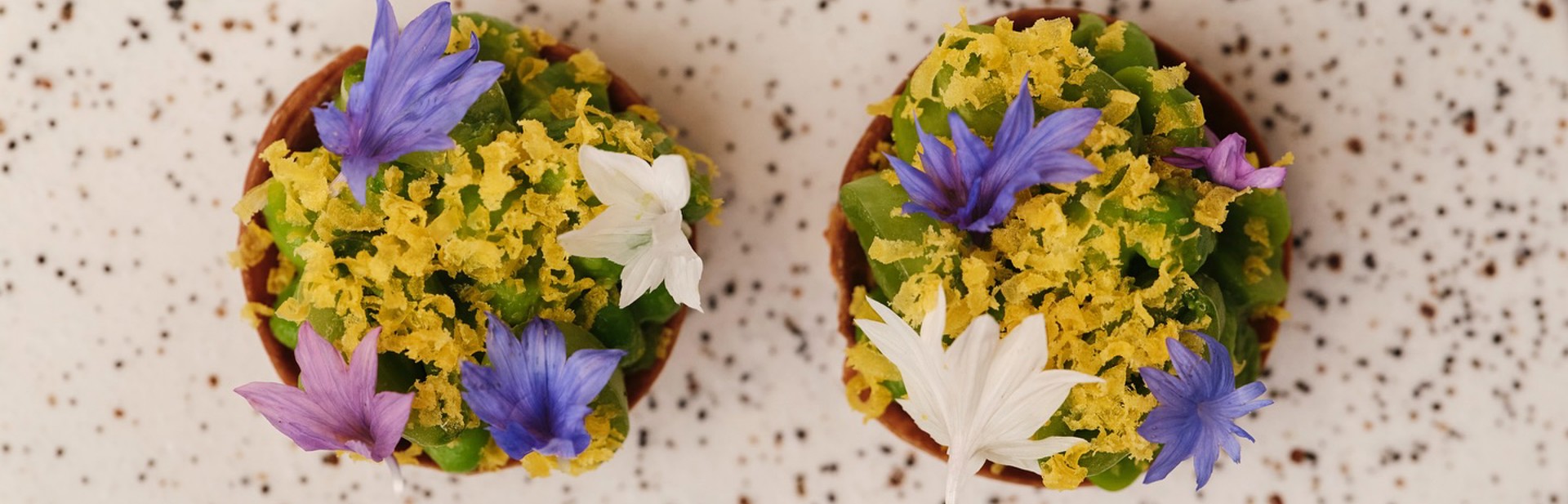 527396725 18398820610117434 9005374959428839740 N